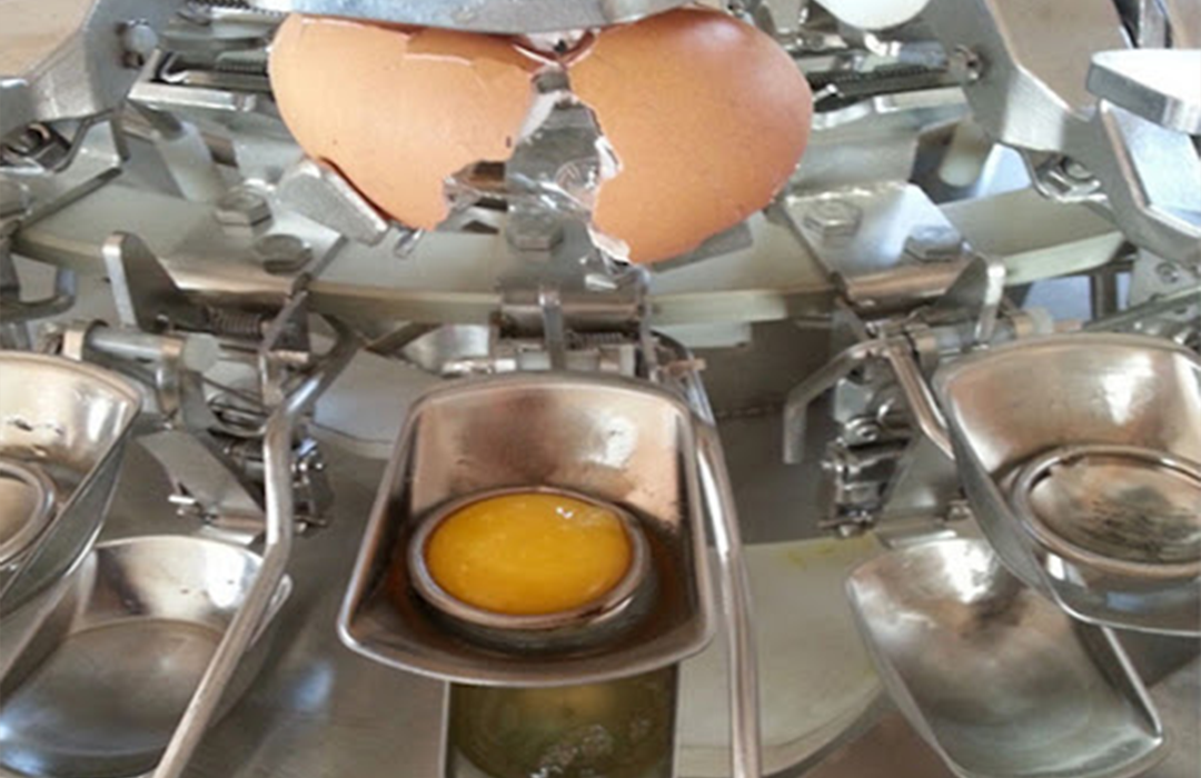 Egg Separator Manufacturers in India